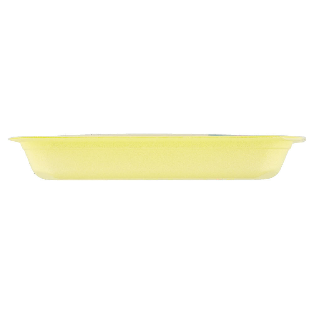 EQUINO CARPACCIO ATP 240 G CA MASINA - 7