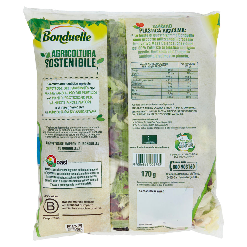 INSALATA ARMONIA BONDUELLE IT I^ BS G 170 - 1