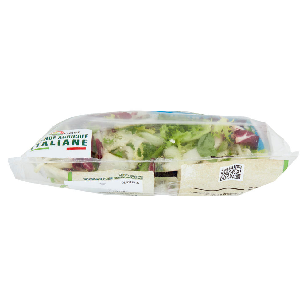 INSALATA ARMONIA BONDUELLE IT I^ BS G 170 - 2