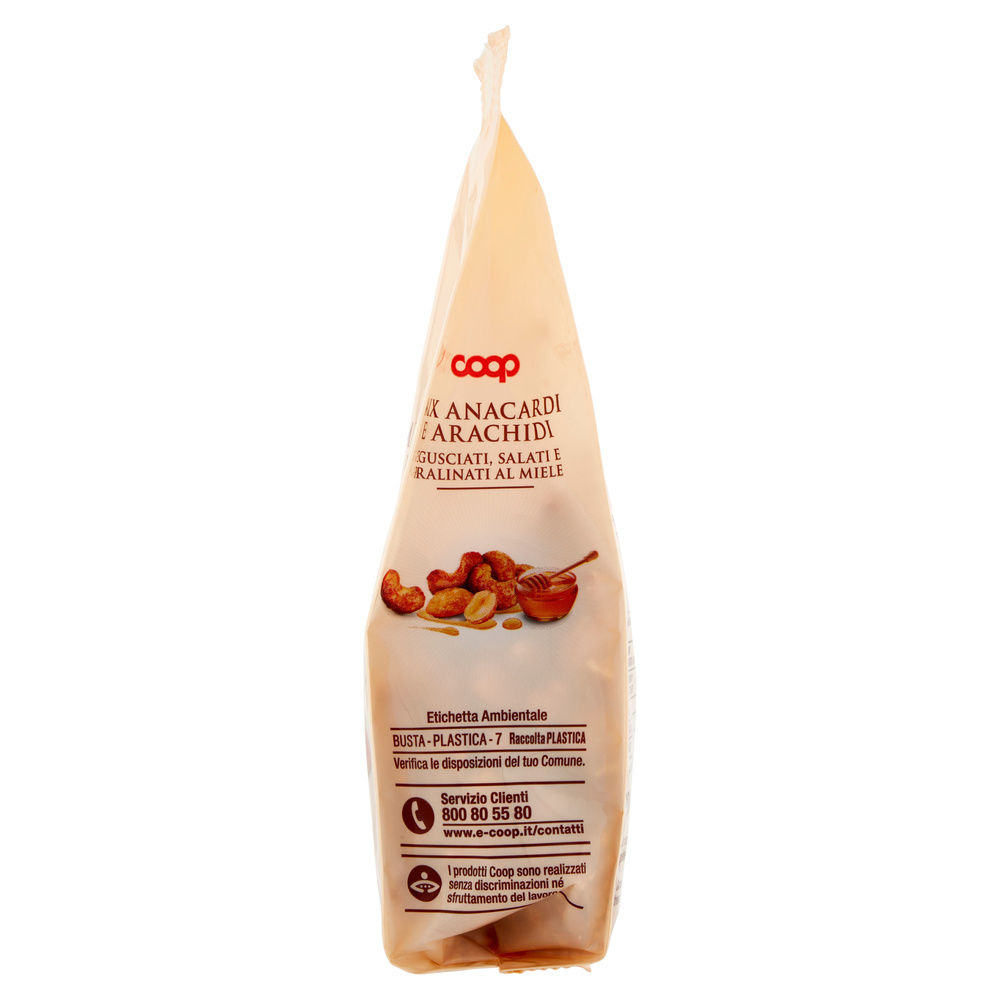 MIX ANACARDI E ARACHIDI SGUSCIATI SALATI PRALINATI AL MIELE GOURMET COOP BS G200 - 5