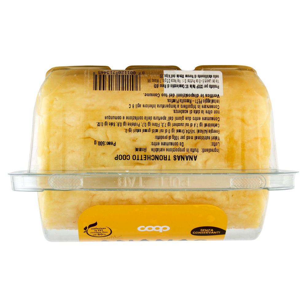 ANANAS TRONCHETTO COOP VH G 500 - 10