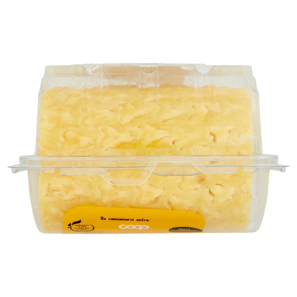 ANANAS TRONCHETTO COOP VH G 500 - 21