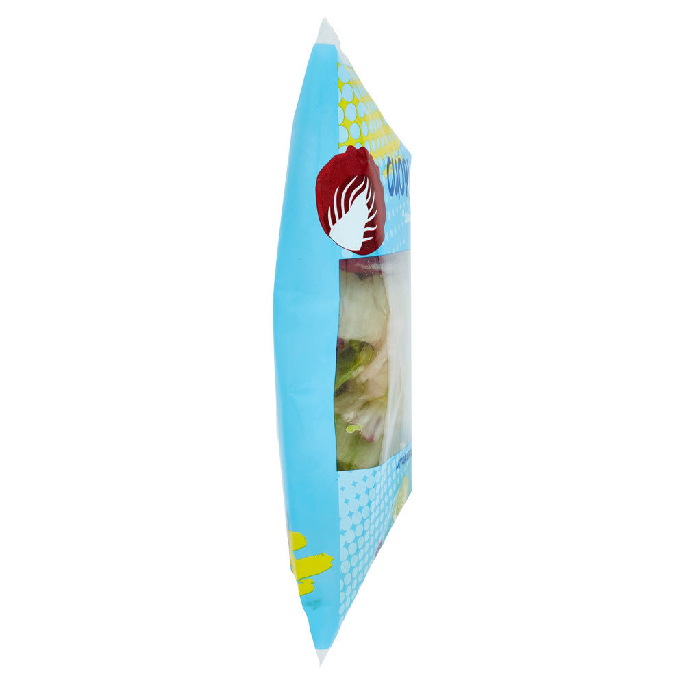 INSALATA CUORI CROCCANTI COOP BS G 150 - 29