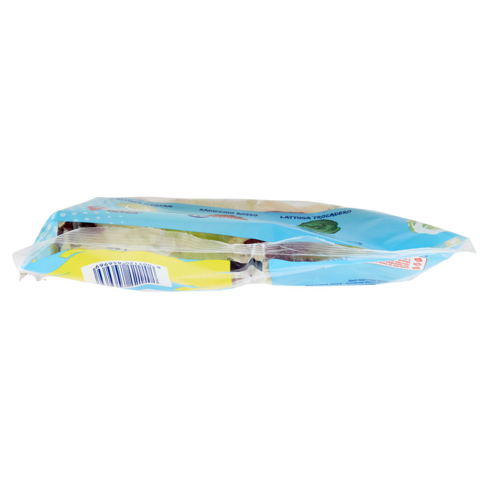 INSALATA CUORI CROCCANTI COOP BS G 150 - 20