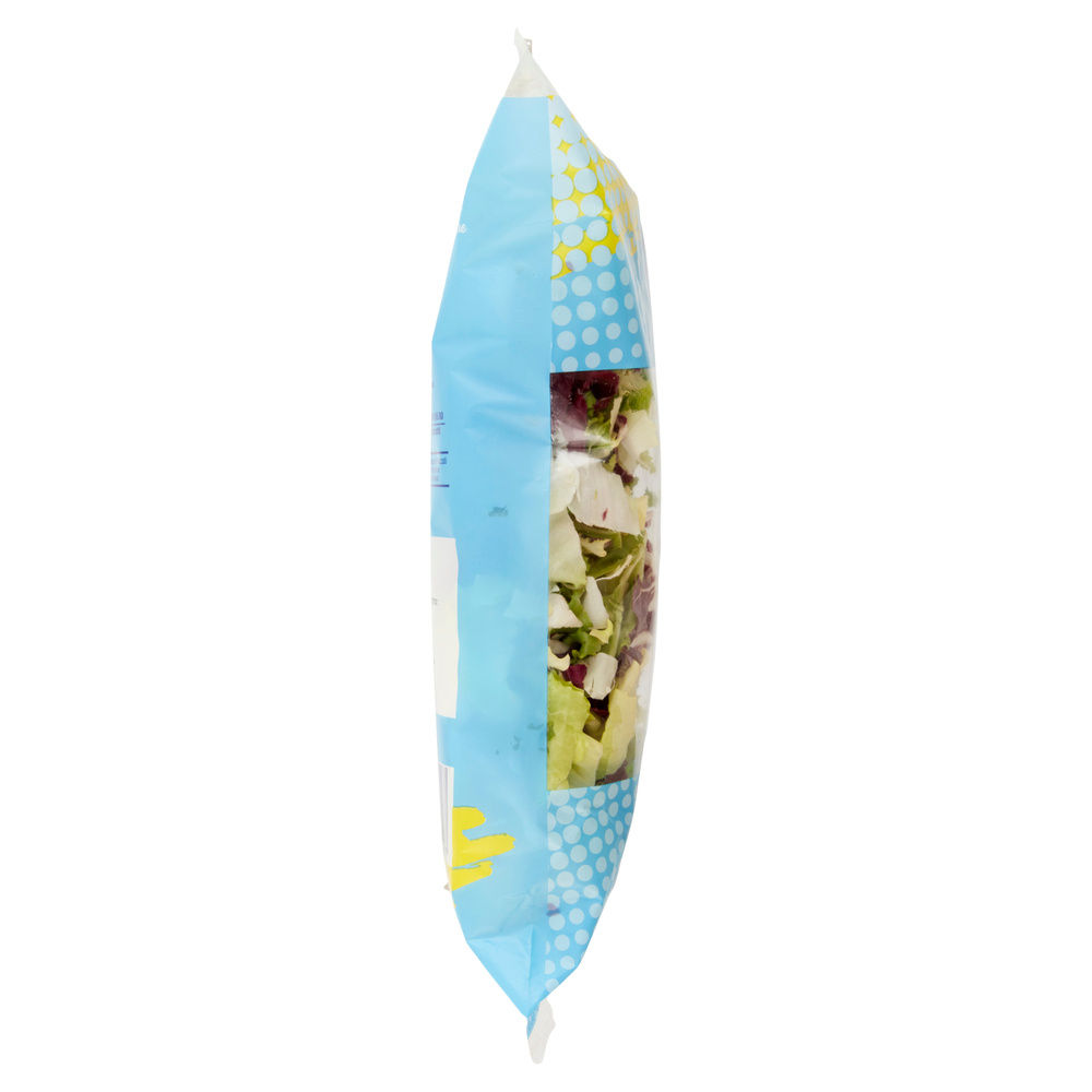 INSALATA SERENA COOP BS G 250 - 19