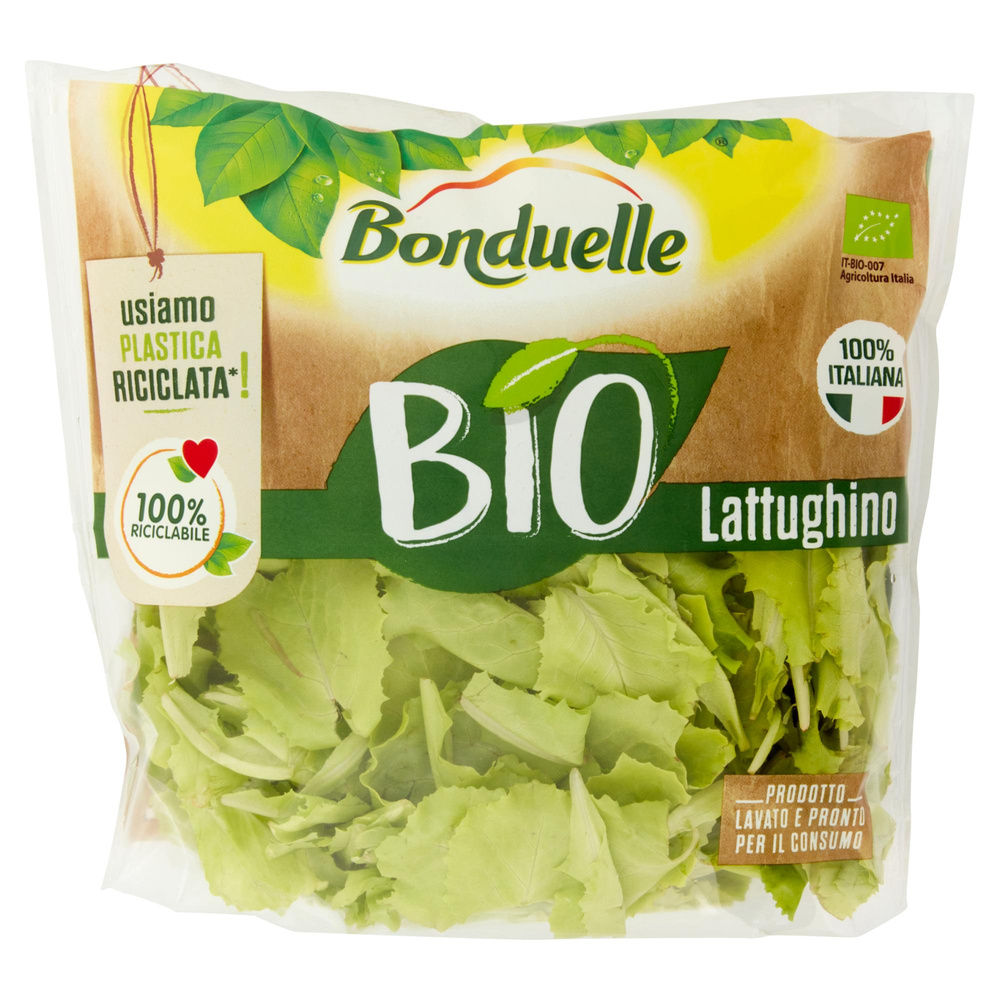 LATTUGHINO BIO BONDUELLE BS G 80 - 2