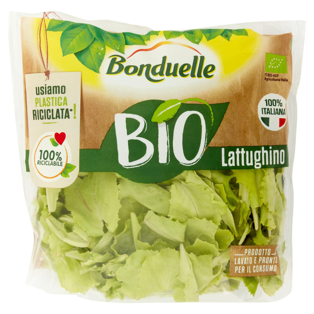 LATTUGHINO BIO BONDUELLE BS G 80 - 3