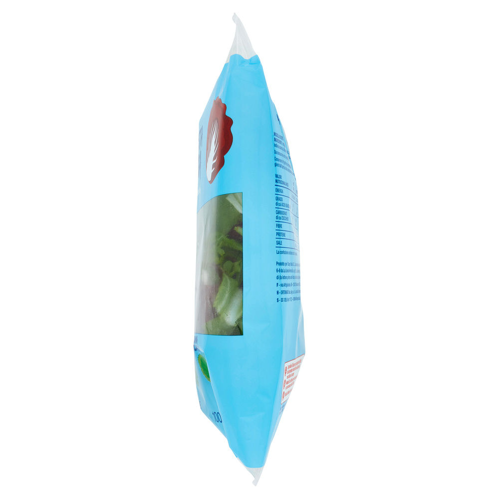 INSALATA MISTA  APPETITOSA COOP BS G 100 - 44