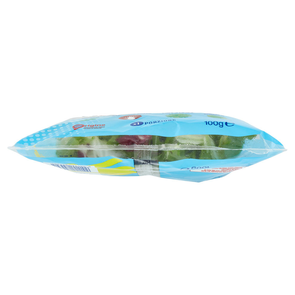 INSALATA MISTA  APPETITOSA COOP BS G 100 - 46