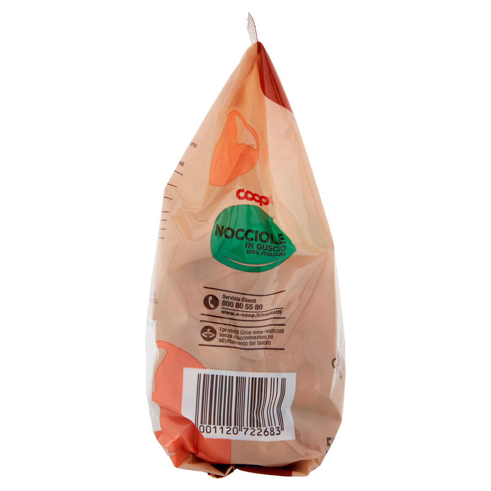 NOCCIOLE GUSCIO ITALIANE SCROCCHIA E MANGIA COOP BS G 500 - 9