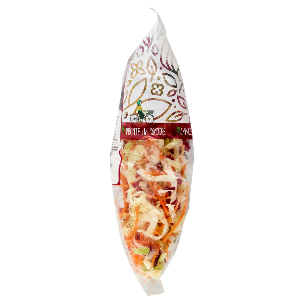 INSALATA MISTA JULIENNE CON CAROTE BONTA' DI STAGIONE BS G 350 - 2
