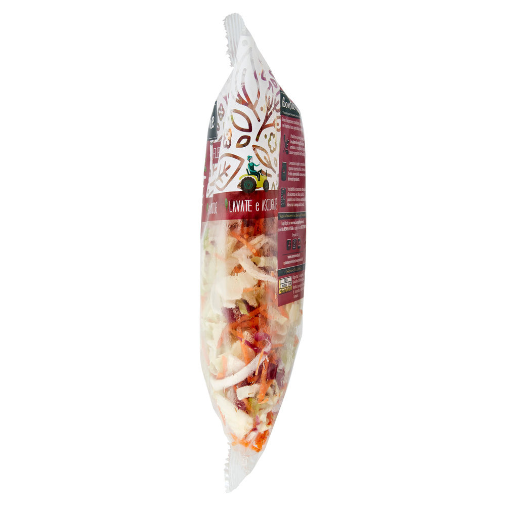 INSALATA MISTA JULIENNE CON CAROTE BONTA' DI STAGIONE BS G 350 - 4