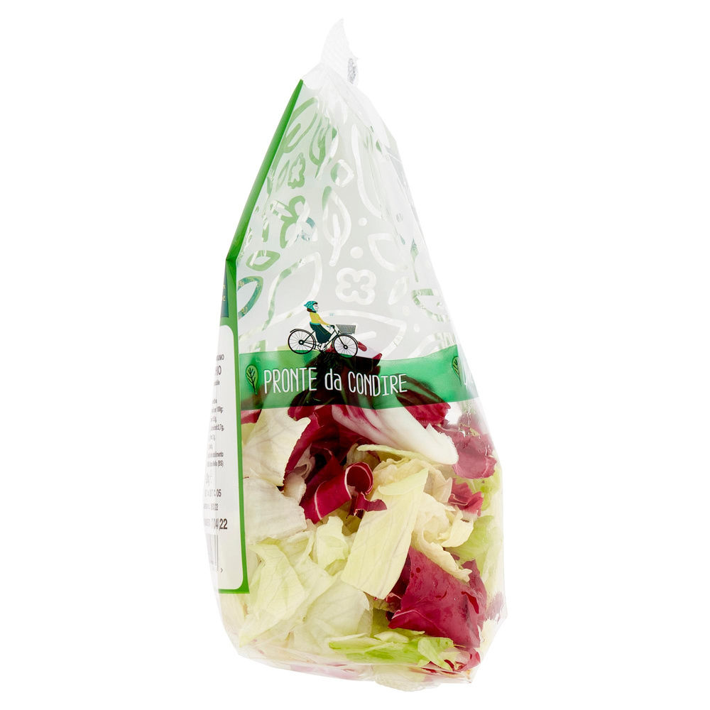 INSALATA MISTA ICEBERG E RADICCHIO BONTA' DI STAGIONE BS G 220 - 7