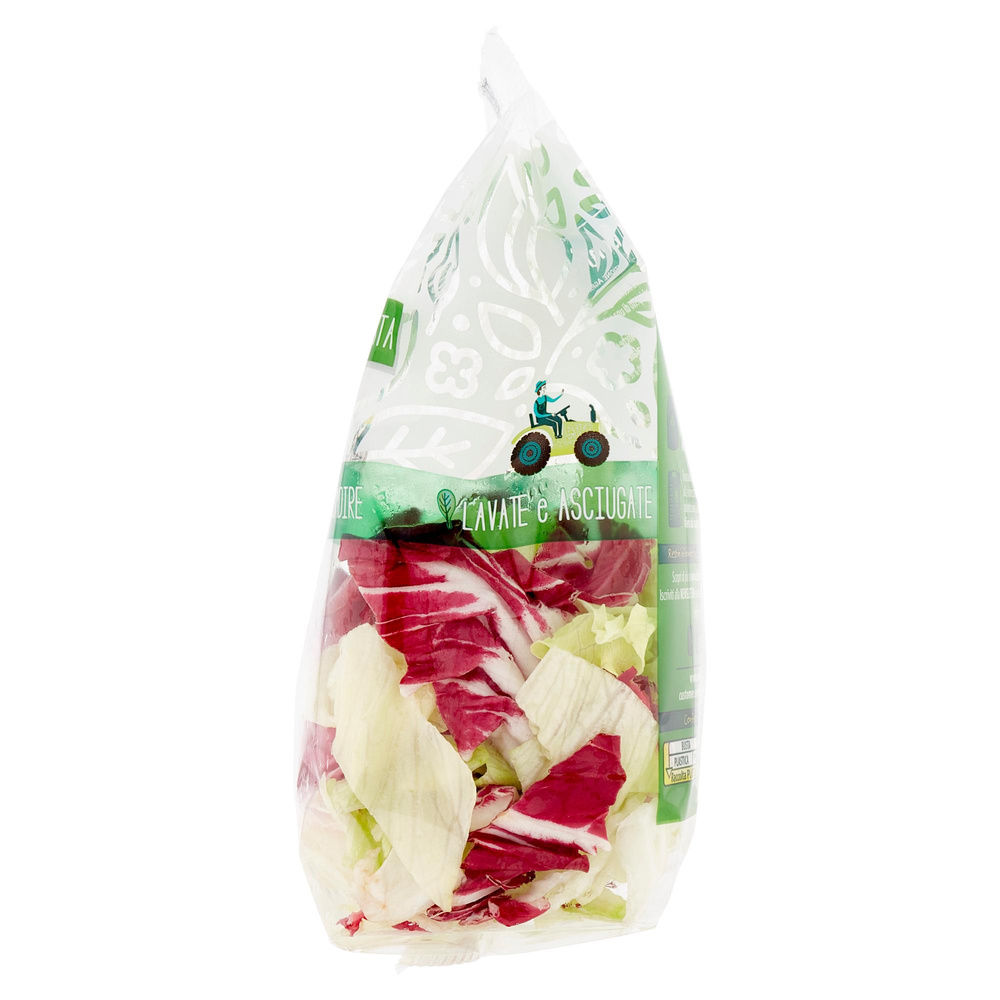 INSALATA MISTA ICEBERG E RADICCHIO BONTA' DI STAGIONE BS G 220 - 3