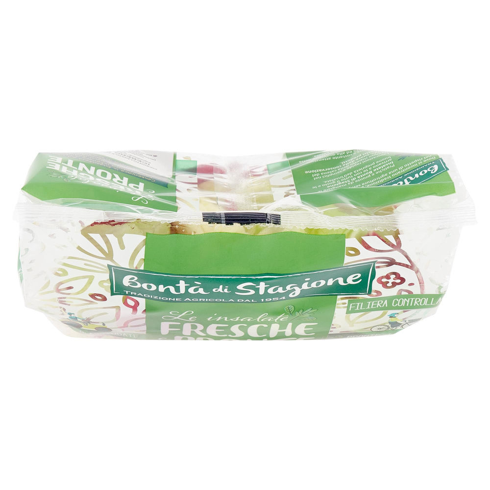 INSALATA MISTA ICEBERG E RADICCHIO BONTA' DI STAGIONE BS G 220 - 4