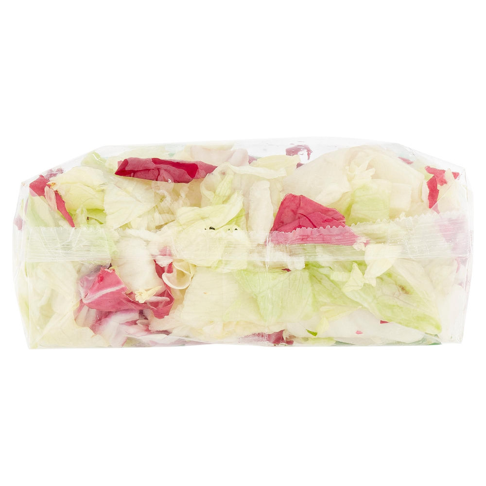 INSALATA MISTA ICEBERG E RADICCHIO BONTA' DI STAGIONE BS G 220 - 2