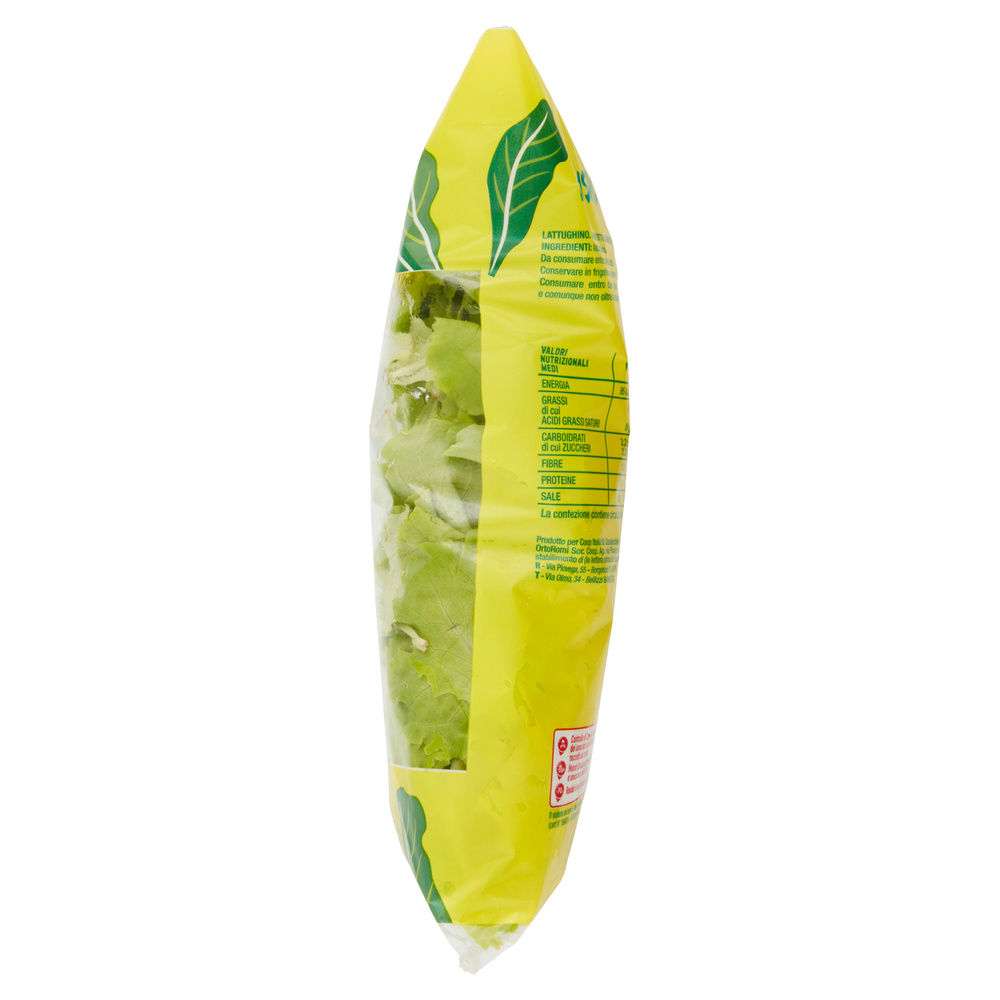 INSALATINA COOP ORIGINE IT BS G 125 - 30