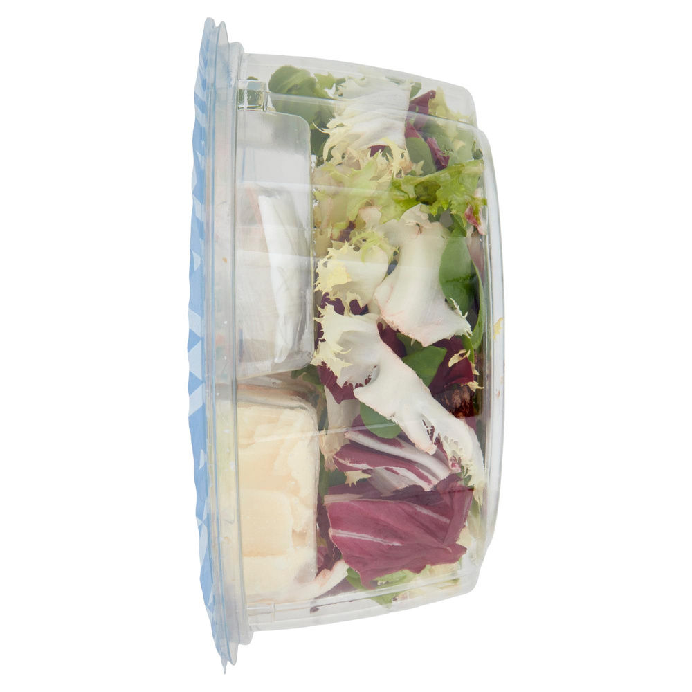 PIATTO UNICO GOLOSO CAESAR G.PADANO,POLLO,CROSTINI DIMMIDISI' CIOT G 135 - 5