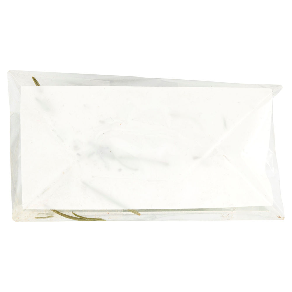 ROSMARINO VIVI VERDE BIO COOP IT BS G 25 - 2