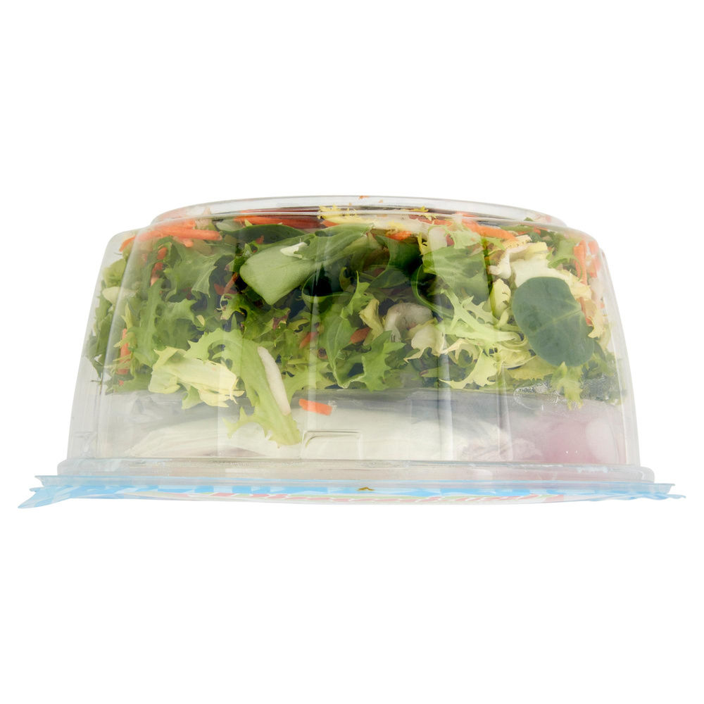 PIATTO UNICO GOLOSO GRECA CON FETA DIMMIDISI' CIOTOLA G 210 - 5