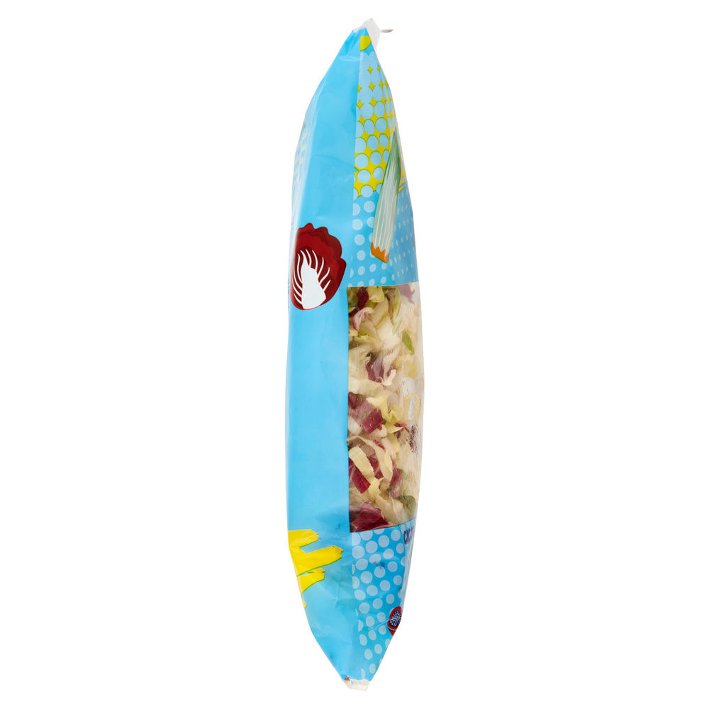 INSALATA MISTA MAXI FORMAT JULIEN PANDIZUCC E RADICCHIO ROSSO COOP BS G 400 - 31