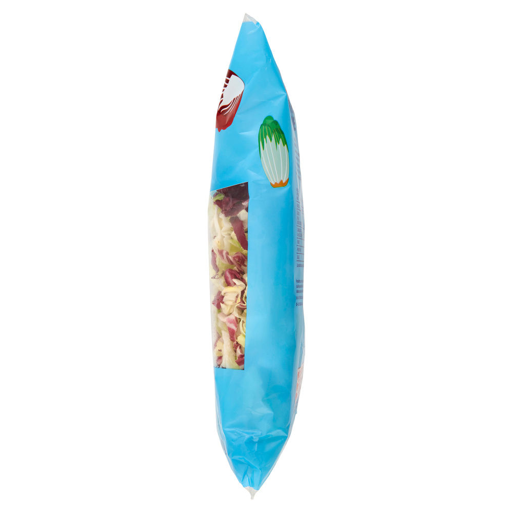 INSALATA MISTA MAXI FORMAT JULIEN PANDIZUCC E RADICCHIO ROSSO COOP BS G 400 - 29