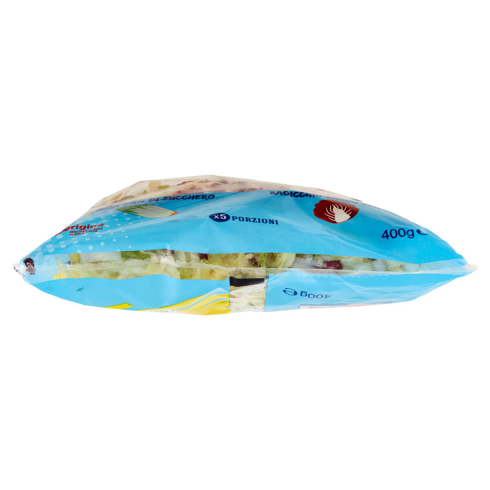INSALATA MISTA MAXI FORMAT JULIEN PANDIZUCC E RADICCHIO ROSSO COOP BS G 400 - 27