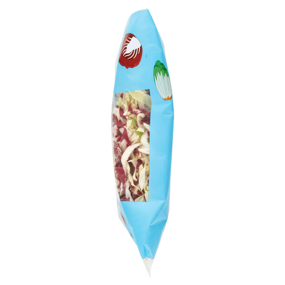 INSALATA MISTA MAXI FORMAT JULIEN PANDIZUCC E RADICCHIO ROSSO COOP BS G 400 - 43