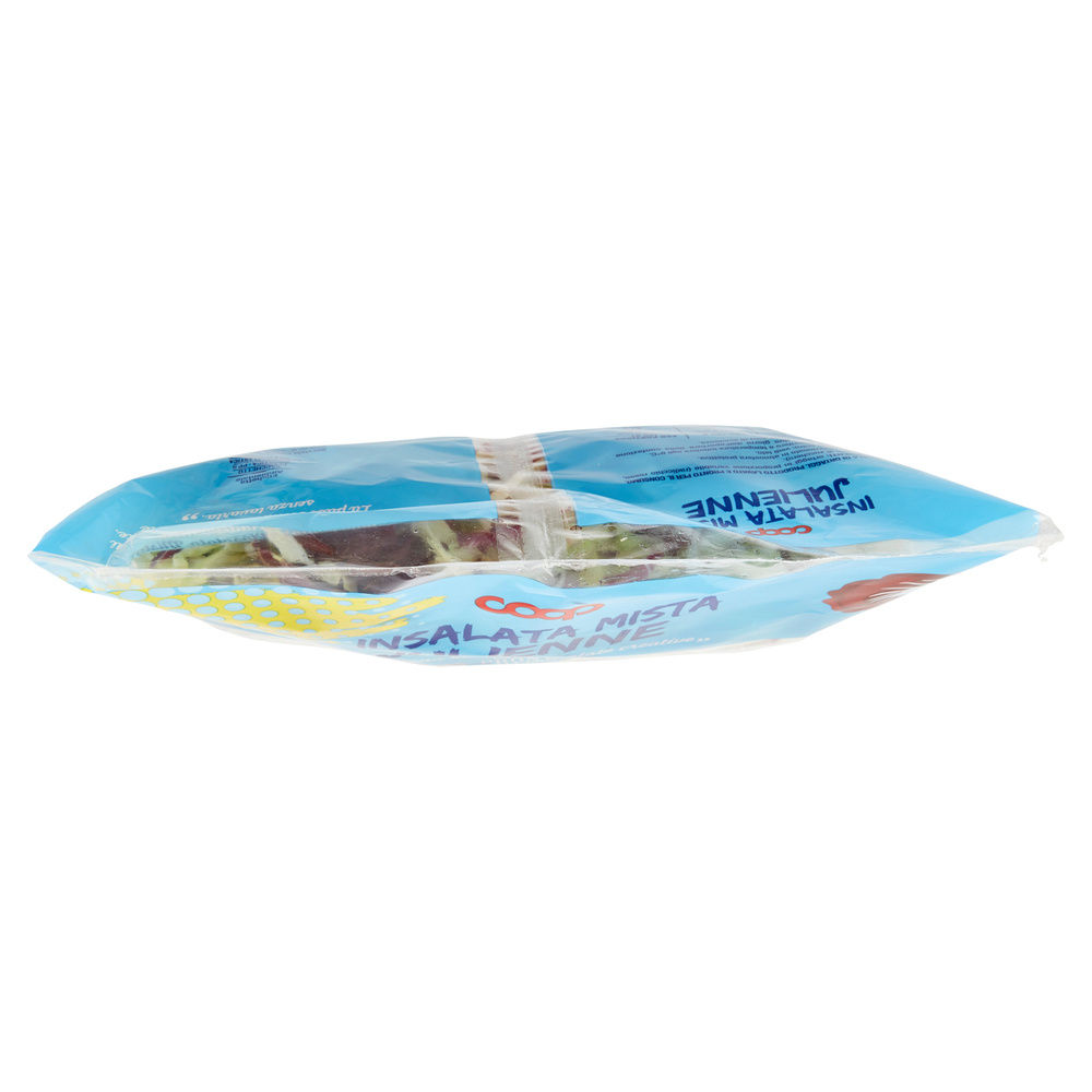 INSALATA MISTA MAXI FORMAT JULIEN PANDIZUCC E RADICCHIO ROSSO COOP BS G 400 - 42
