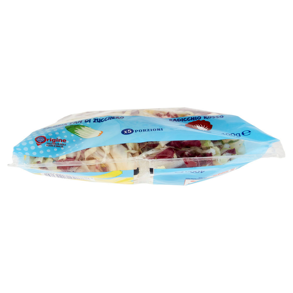 INSALATA MISTA MAXI FORMAT JULIEN PANDIZUCC E RADICCHIO ROSSO COOP BS G 400 - 41