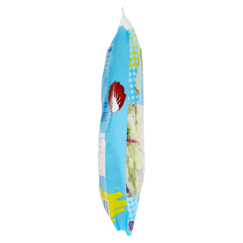 INSALATA MISTA MAXI FORMAT JULIEN PANDIZUCC E RADICCHIO ROSSO COOP BS G 400 - 37