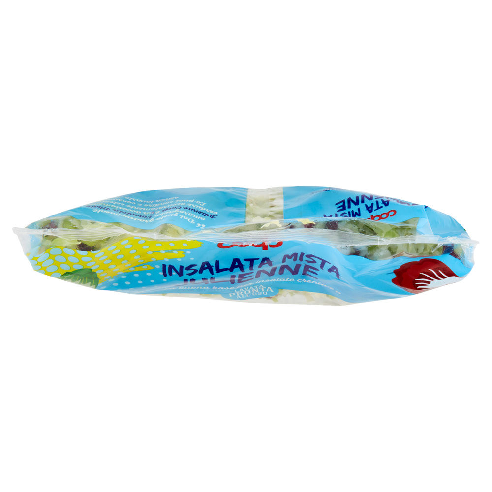 INSALATA MISTA MAXI FORMAT JULIEN PANDIZUCC E RADICCHIO ROSSO COOP BS G 400 - 34