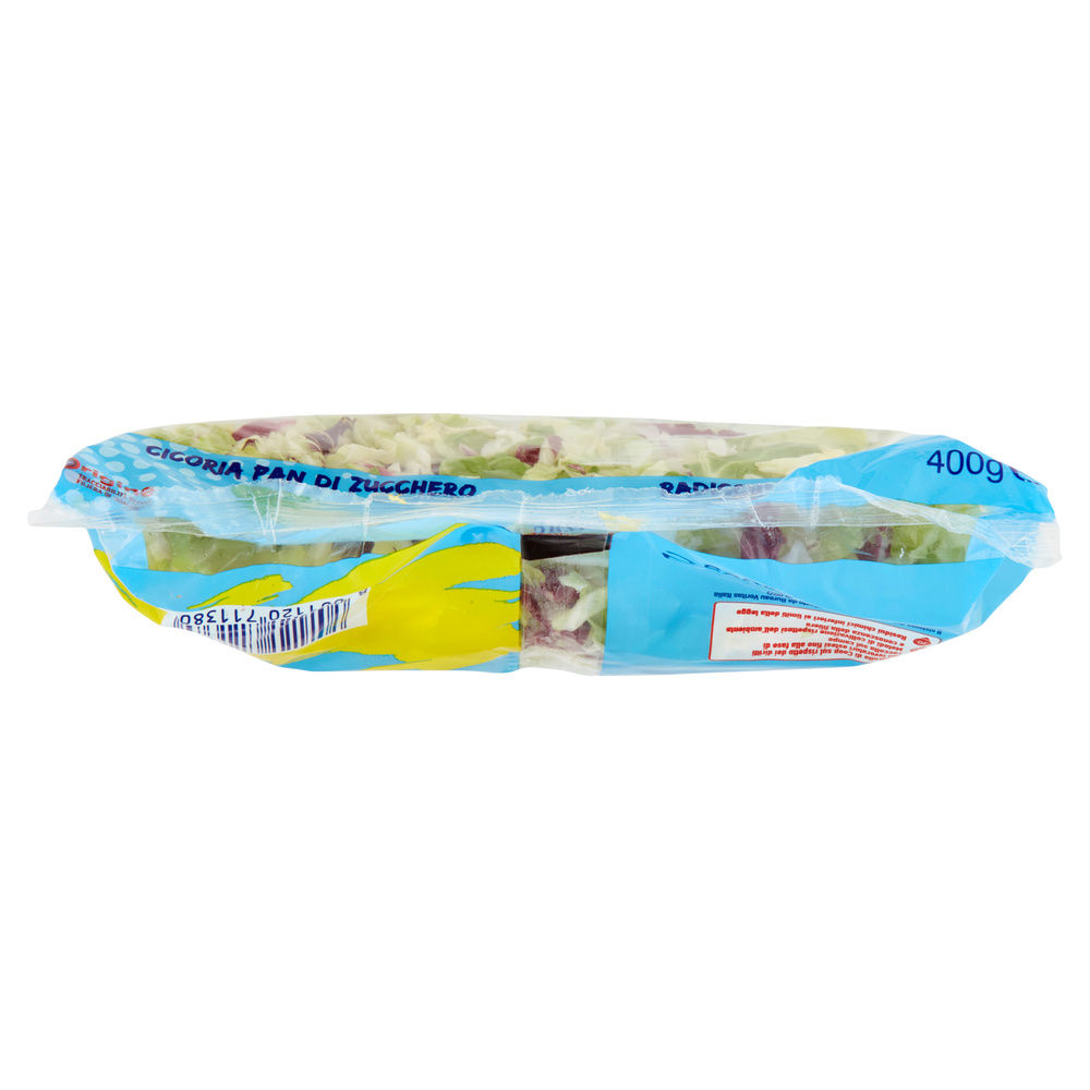 INSALATA MISTA MAXI FORMAT JULIEN PANDIZUCC E RADICCHIO ROSSO COOP BS G 400 - 47