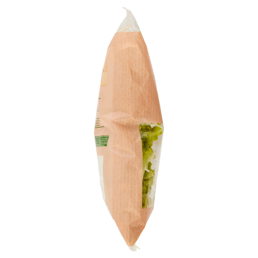 INSALATINA VIVI VERDE BIO COOP IT I^ BS G 100 - 15