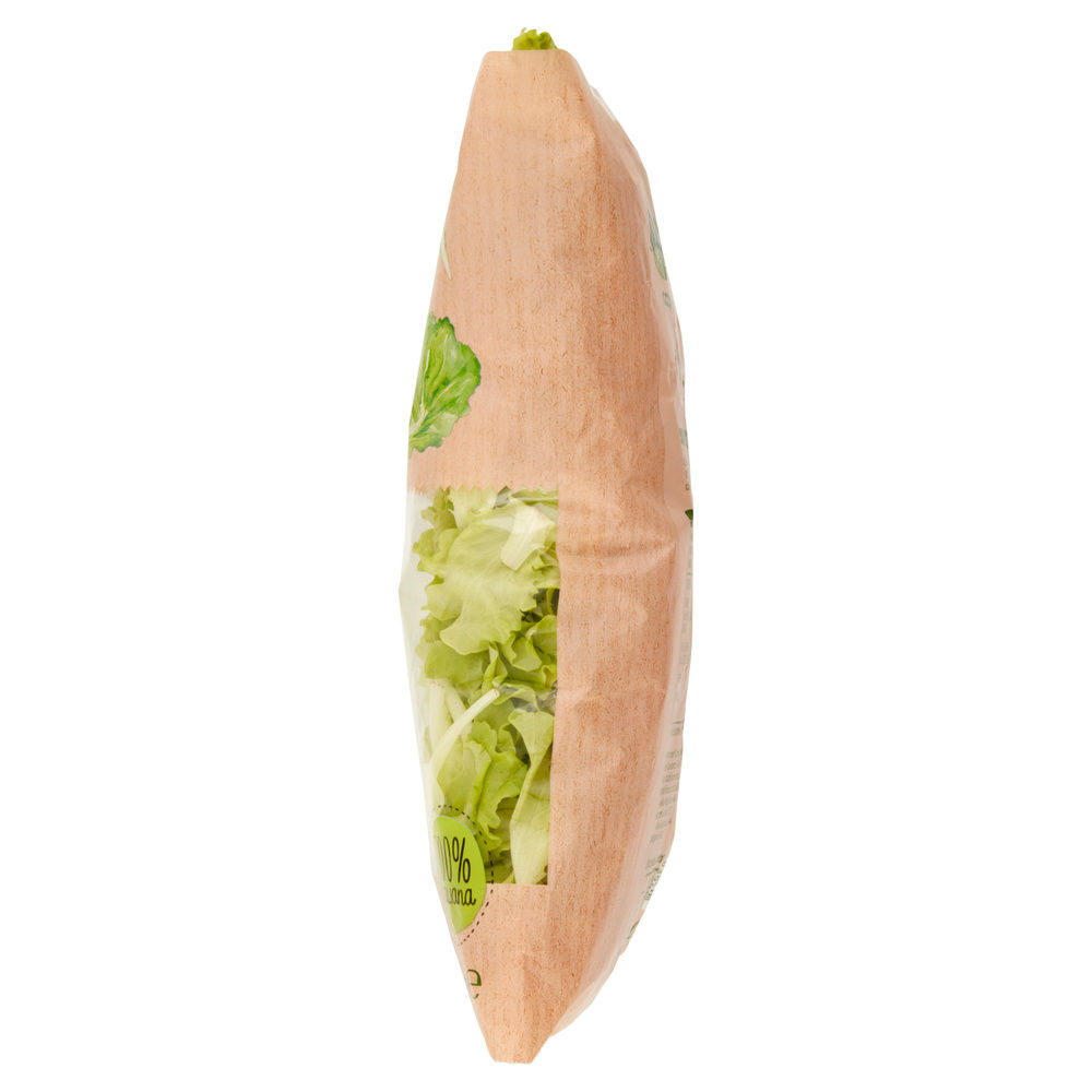 INSALATINA VIVI VERDE BIO COOP IT I^ BS G 100 - 13