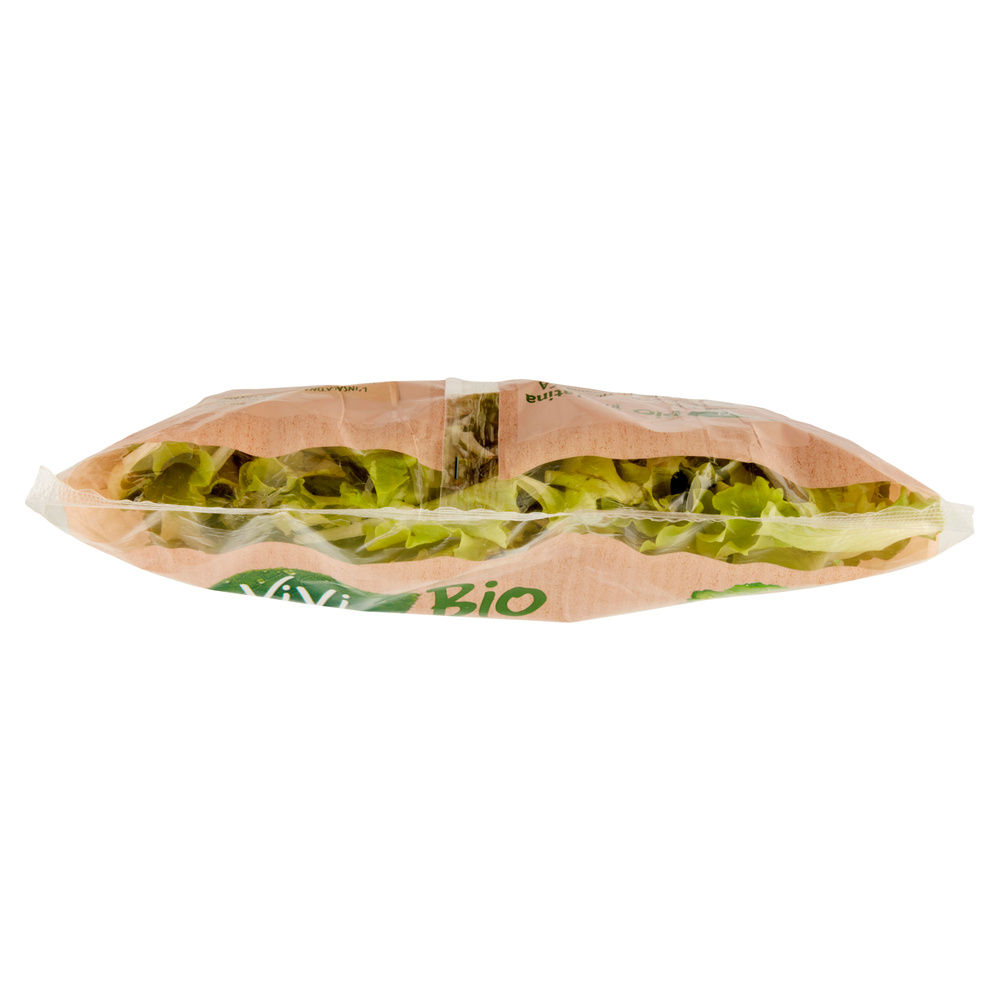 INSALATINA VIVI VERDE BIO COOP IT I^ BS G 100 - 12