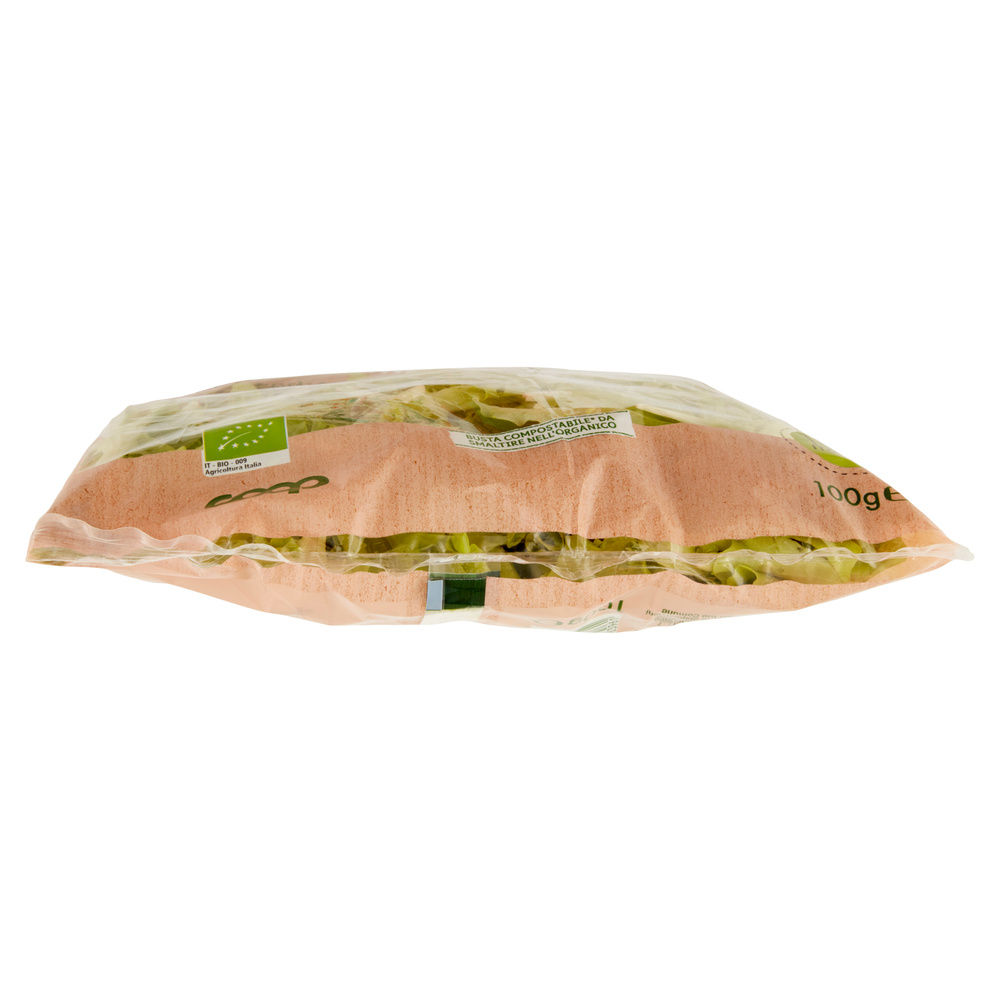 INSALATINA VIVI VERDE BIO COOP IT I^ BS G 100 - 11