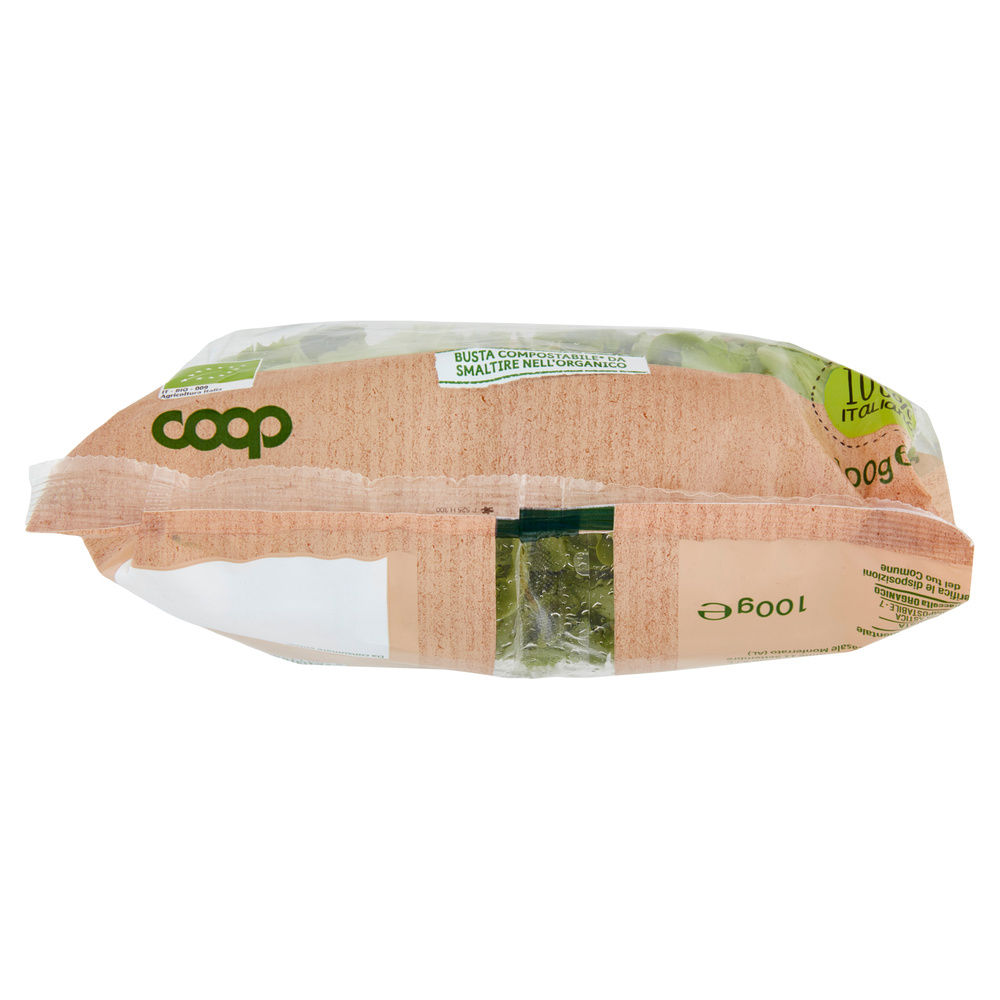 INSALATINA VIVI VERDE BIO COOP IT I^ BS G 100 - 16