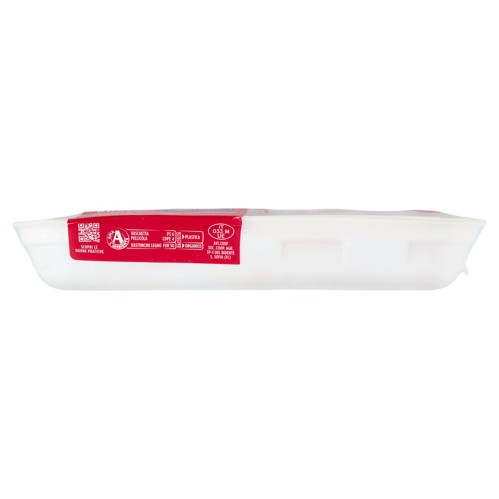 SPIEDINO RUSTICO DI POLLO E TACCHINO ATP 600 G CA AMADORI 10+ - 14