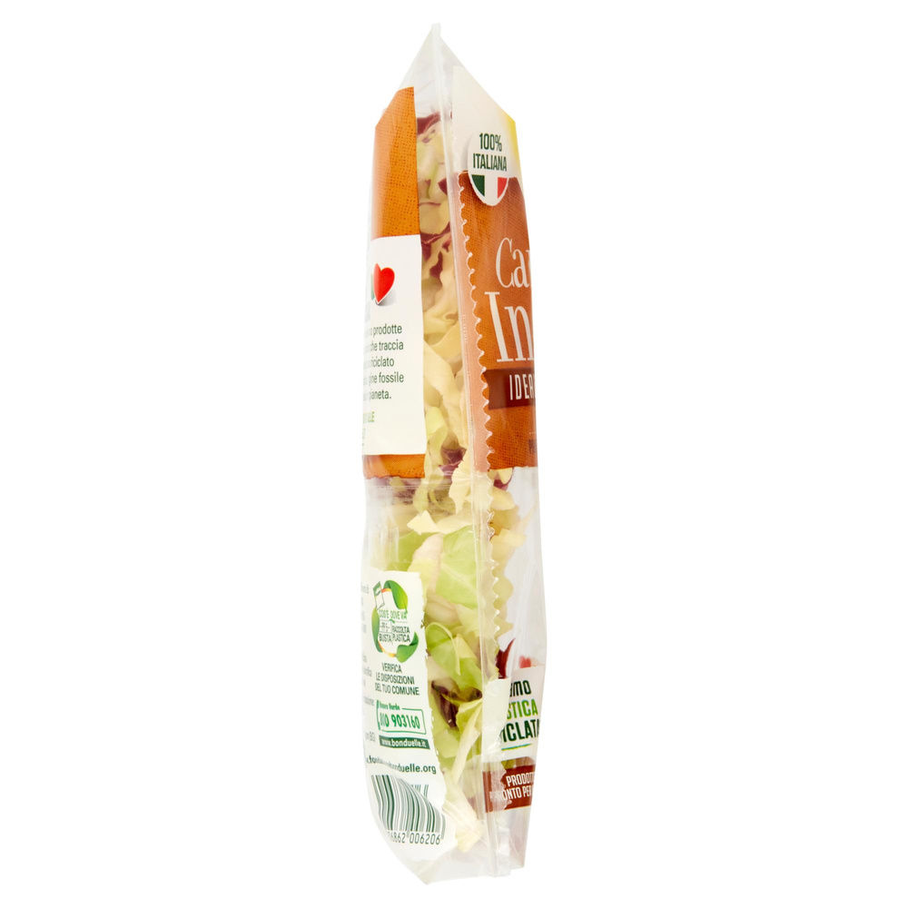 RICETTA DELIZIOSA BONDUELLE BS G 90 - 4