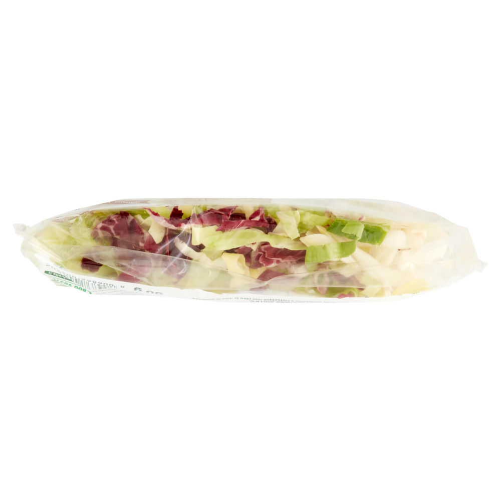 RICETTA DELIZIOSA BONDUELLE BS G 90 - 2