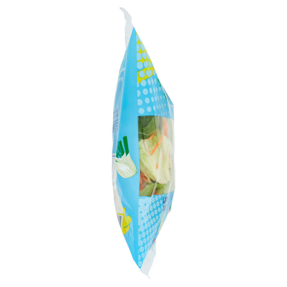INSALATA MISTA FESTOSA COOP BS G 250 - 27