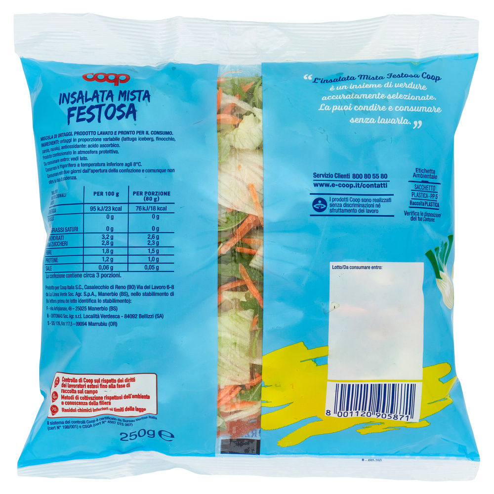 INSALATA MISTA FESTOSA COOP BS G 250 - 28