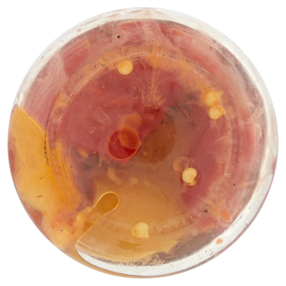 PEPERONI GRIGLIATI SACLA' V.V.G 290 - 7