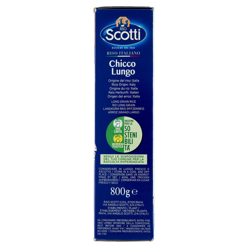 RISO SCOTTI CHICCO LUNGO S/V G 800 - 4