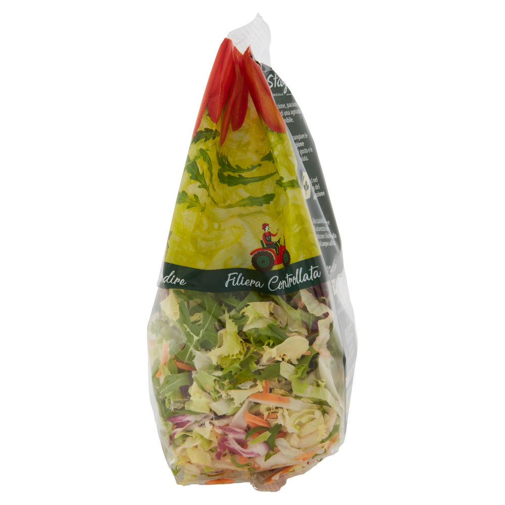 INSALATA 4 STAGIONI JULIENNE BONTA' DI STAGIONE BS G 220 - 5