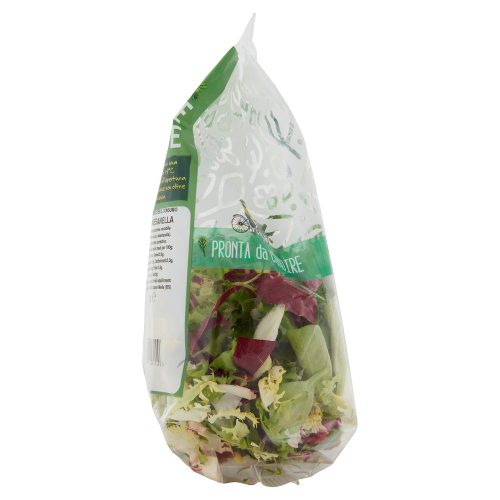 INSALATA MISTA PAESANELLA BONTA' DI STAGIONE BS G 125 - 4