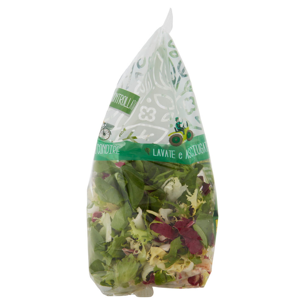 INSALATA MISTA PAESANELLA BONTA' DI STAGIONE BS G 125 - 5