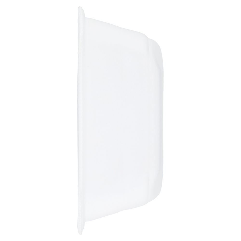 STRACCETTI DI POLLO AGLI AGRUMI ATP 300 G CA - 5