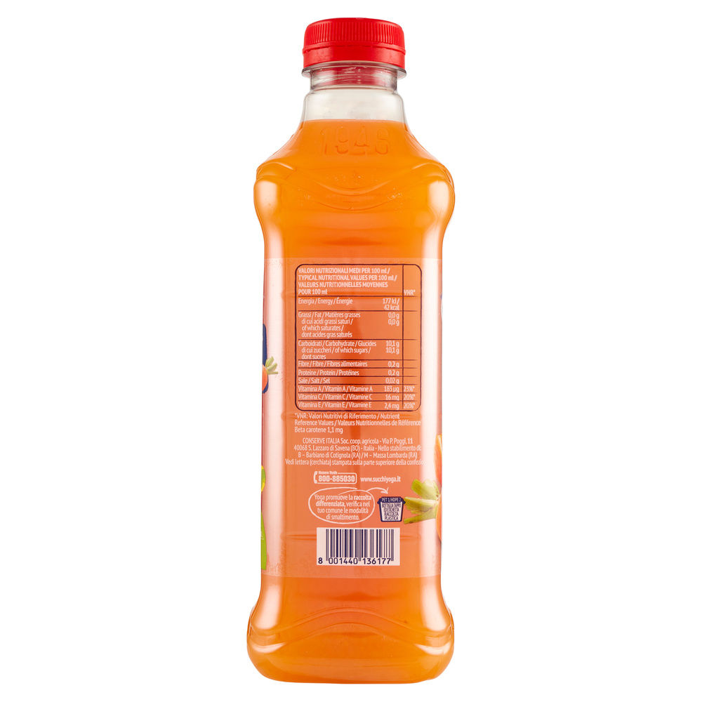 NETTARE ACE YOGA PET CLASSICO L 1 - 6